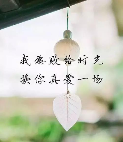 等待灵魂