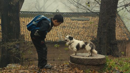 关于“在校儿童”的思考