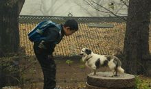 《念书的孩子》观后感