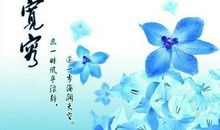 生活因包容而精彩