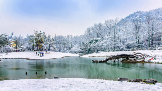 雪域景观