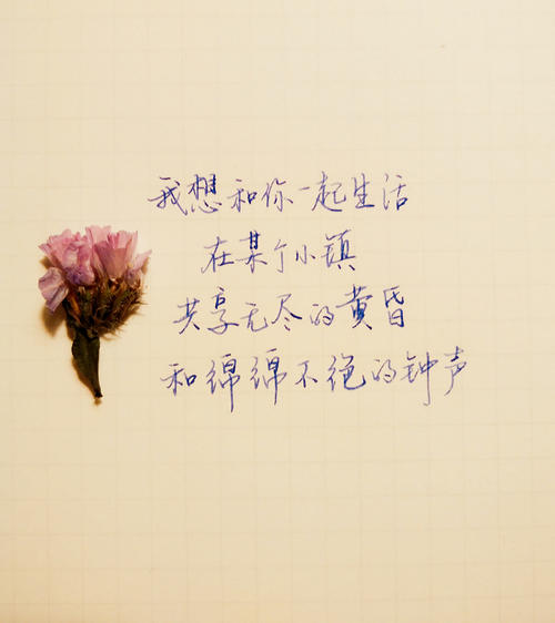 2017年，我们共同的生活
