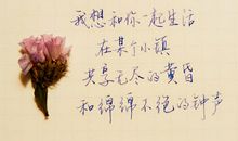 2017，我们的共享生活