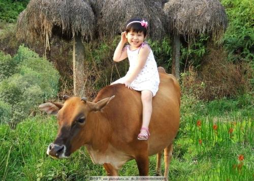 第一次公牛骑行