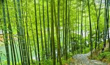 那片小小的阴凉