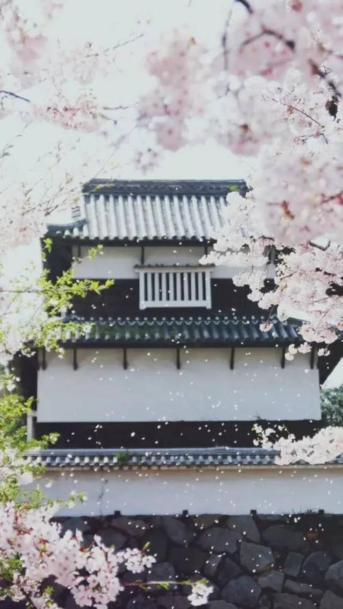 感动友情