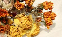 阳光下我学会了感受幸福