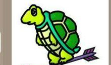 给小乌龟的一封信