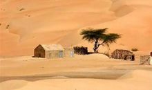 星空下的撒哈拉——读《撒哈拉的故事》有感