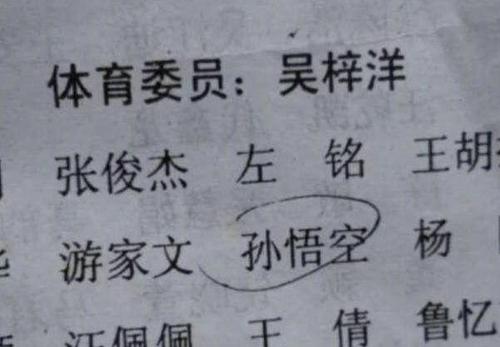 名称的含义