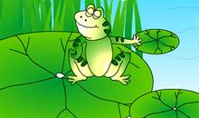 青蛙带给人类的启示