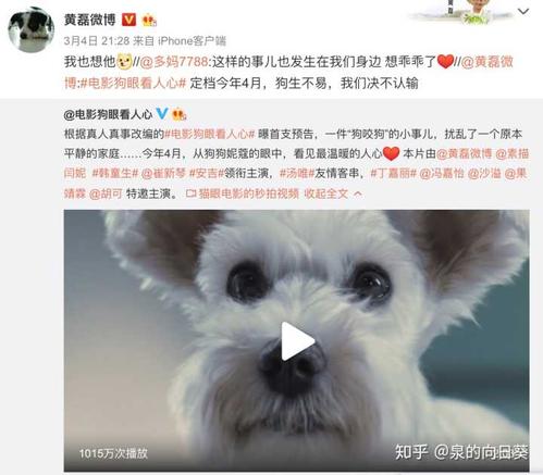 狗见人心后