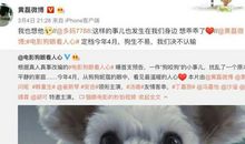 狗眼看人心观后感