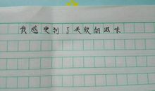 那一次我选择了诚实作文600字