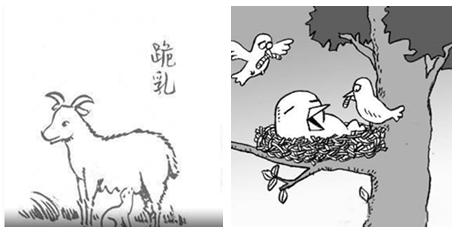 反馈