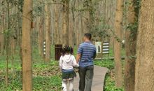 与爸爸一起走过的日子