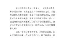 不想长大议论文
