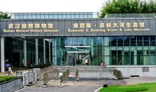 游武汉自然博物馆
