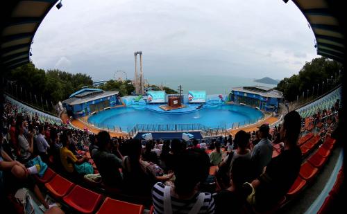游览香港海洋公园
