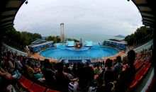 游香港海洋公园