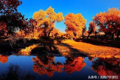 在秋天等待