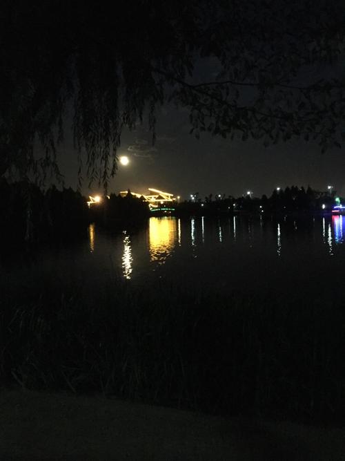 公园之夜