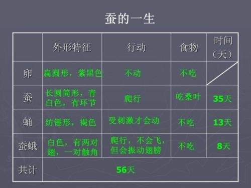 写一篇关于蚕桑的文章