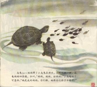 找妈妈