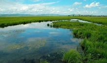 保护湿地爱护环境