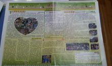 我们班的“豆先生”