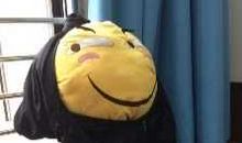 班主任不在的一天