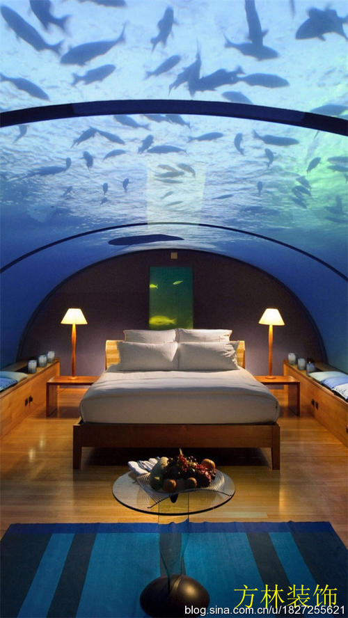 我真的想要一个温暖的家