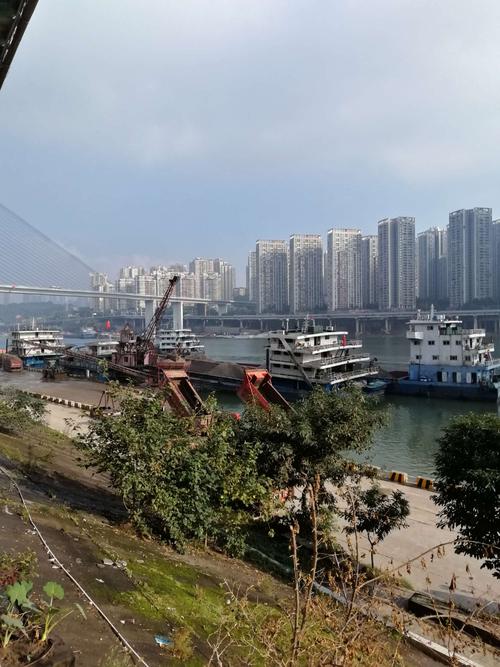问国王如何清楚