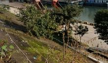 问君哪得清如许