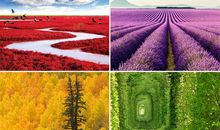 遇见你在缤纷的四季