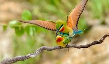 亲近自然感悟人生