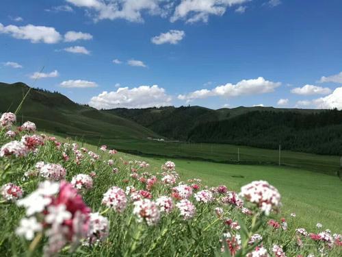 用爱滋养梦想
