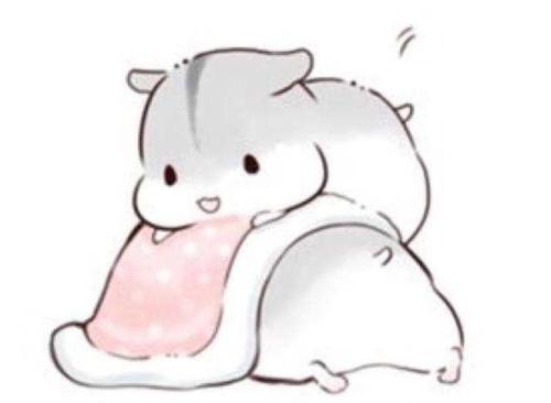 书迷表弟