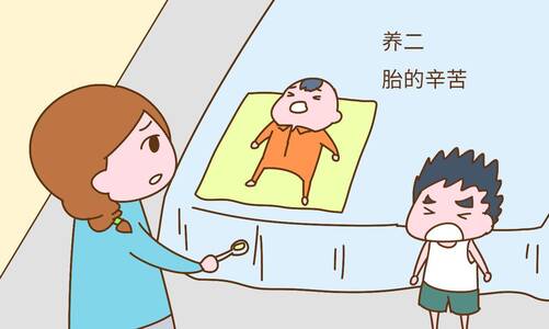 里面是什么