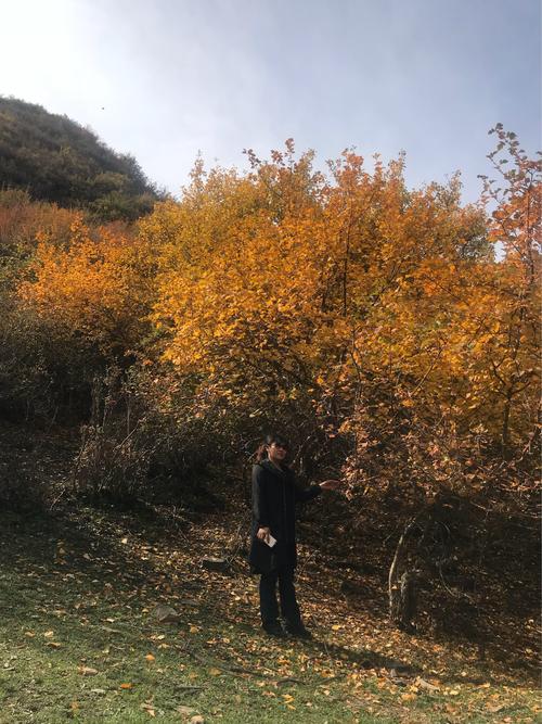 友谊永远存在