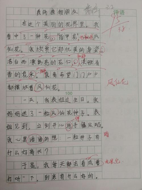 我厂的朋友400字作文