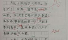 我的植物朋友400字作文