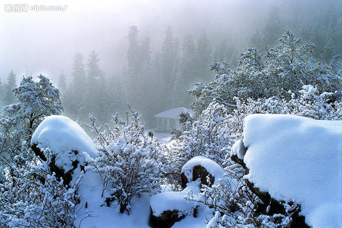 如诗如画的雪