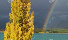 危机之后是彩虹