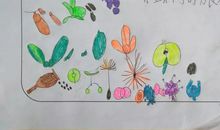 一粒种子的旅行