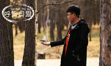 我的青春叛逆史