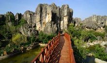 最难忘的地方——石林