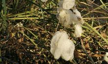 你是我生命中的彩虹