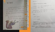 那年，我读过的一本书