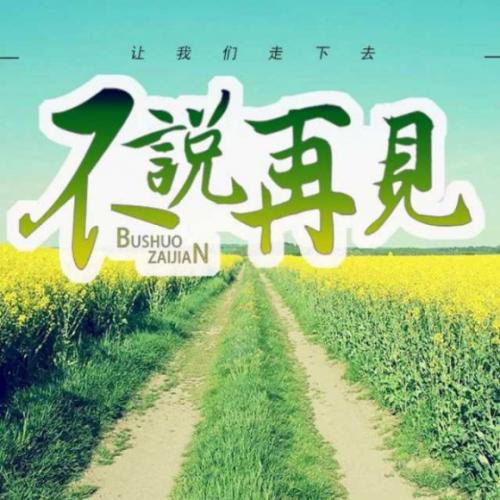 当我们一起走